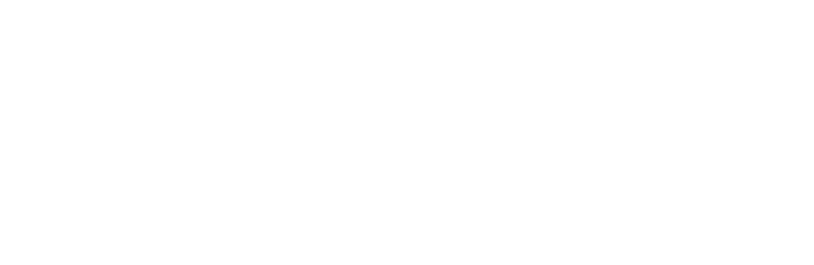 delaynet logo